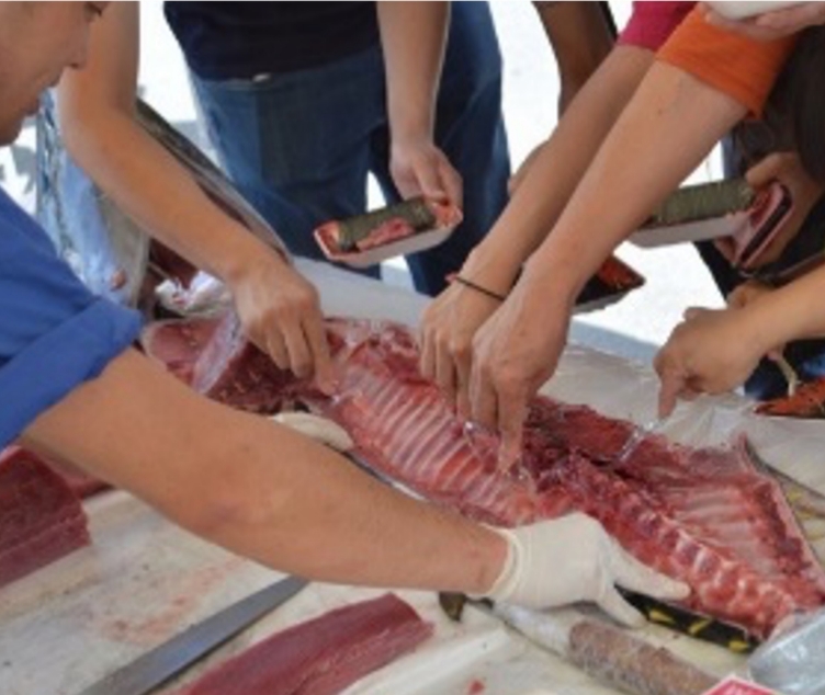 中落ちゴシゴシ体験！