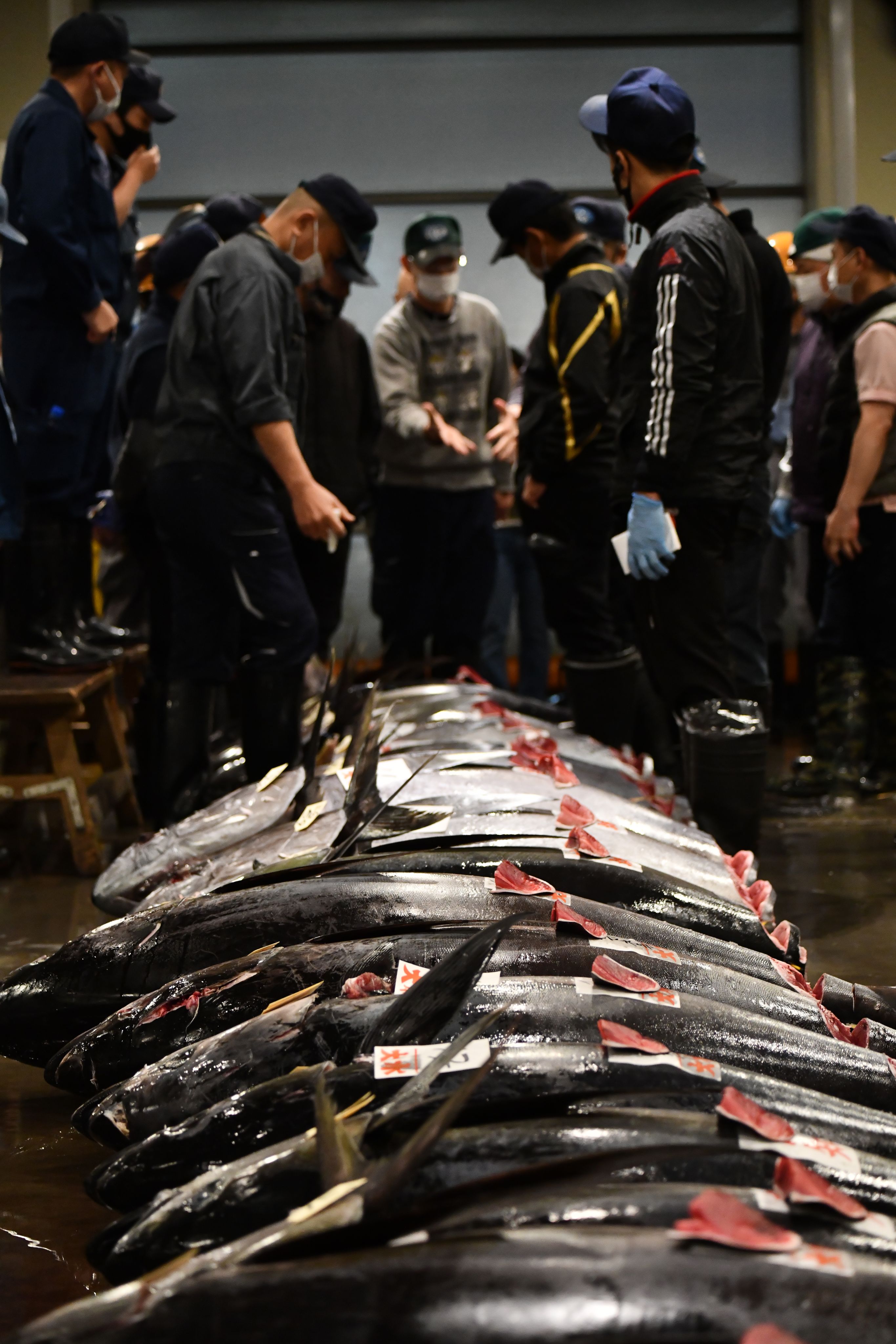 職人による確認風景