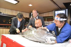 大阪の屋形船の船内にてマグロ解体ショー実施！！！
