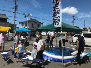 愛知県　複合施設　鮎の掴み取り