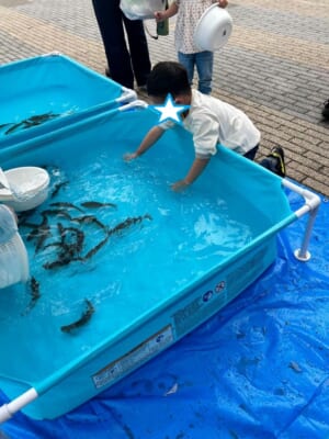 海鮮イベントもやります！今回は神奈川県で鮎のつかみ取り❣
