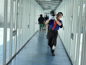埼玉県本庄市の労働組合様の祭りにてマグロの解体ショー実施しました！