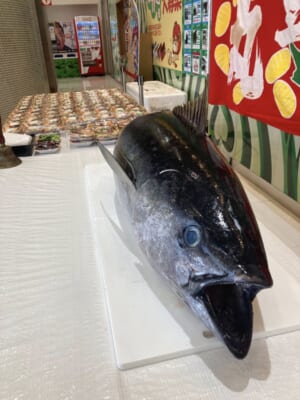 和歌山県のパチンコ屋店にてマグロの解体ショーを行って参りました。