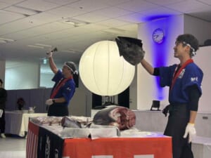 東京都品川区のオフィスにて引っ越しのお祝いで生の本マグロ約40㌔をお持ちし、マグロの解体ショーを行いお祝いしてまいりました