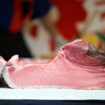 📈 🌊 「止まらない魚」に学ぶ！ 2026年度を全力で駆け抜けるための決起集会 🐟🚀✨