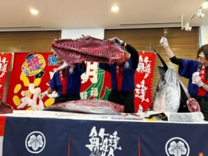 迫力満点！！100㌔越えの生天然本マグロの解体ショー！！